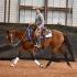 MTSU Stock Horse Team at Nationals